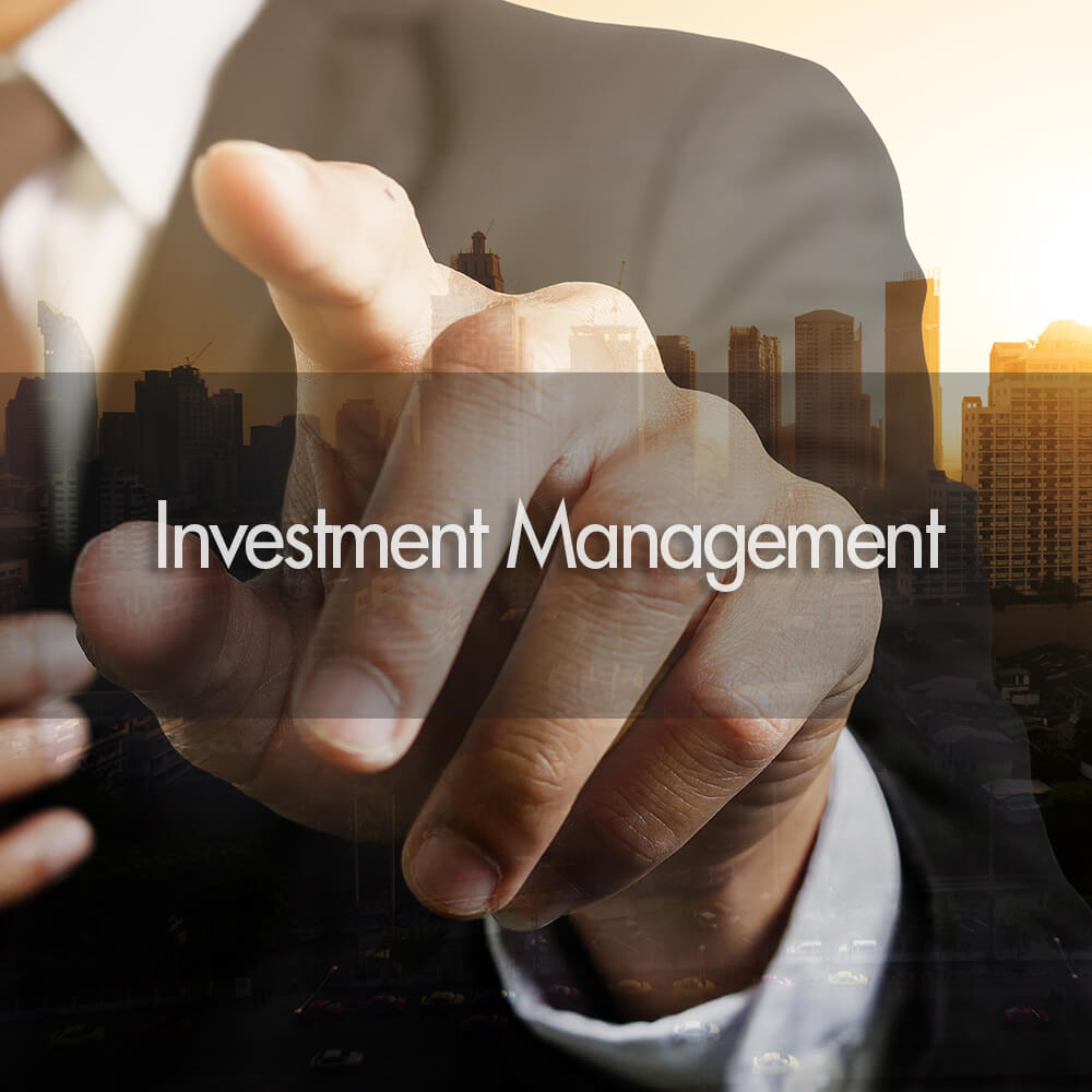 investment-management-invist